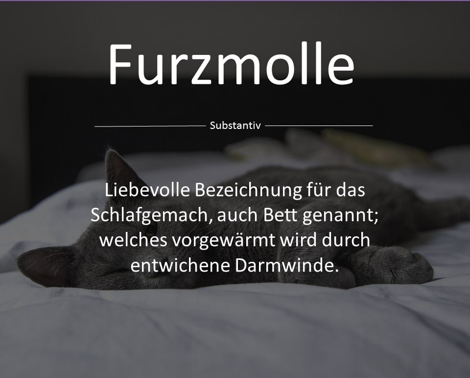 Furzmolle - Bedeutung, Wortherkunft, Synonym für Bett