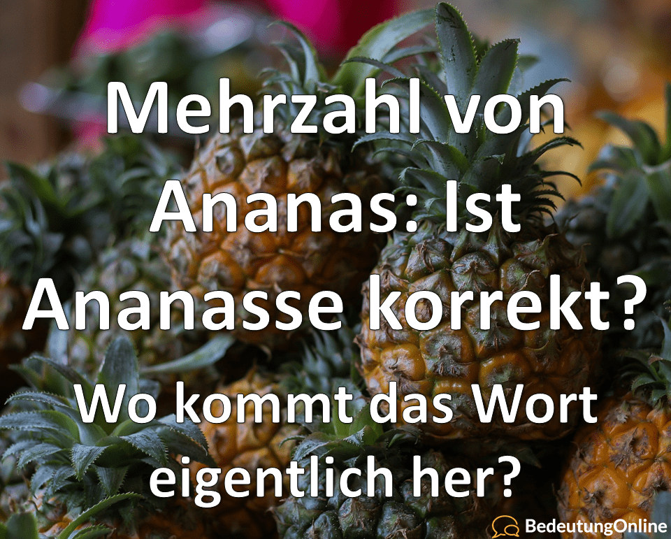 Mehrzahl Ananas: Ist Ananasse der korrekte Plural? Woher kommt Ananas? Bedeutung, Wortherkunft, Übersetzung erklärt