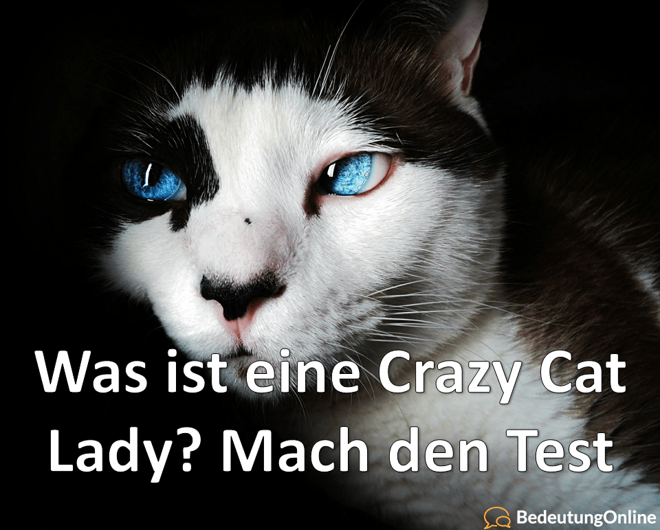 Crazy Cat Lady verrückte Katzenfrau Bedeutung, Definition, Test