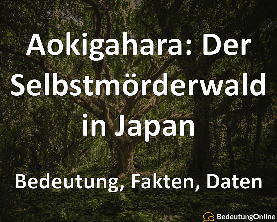 Aokigahara Selbstmörderwald Selbstmordwald Japan Bedeutung Fakten Daten