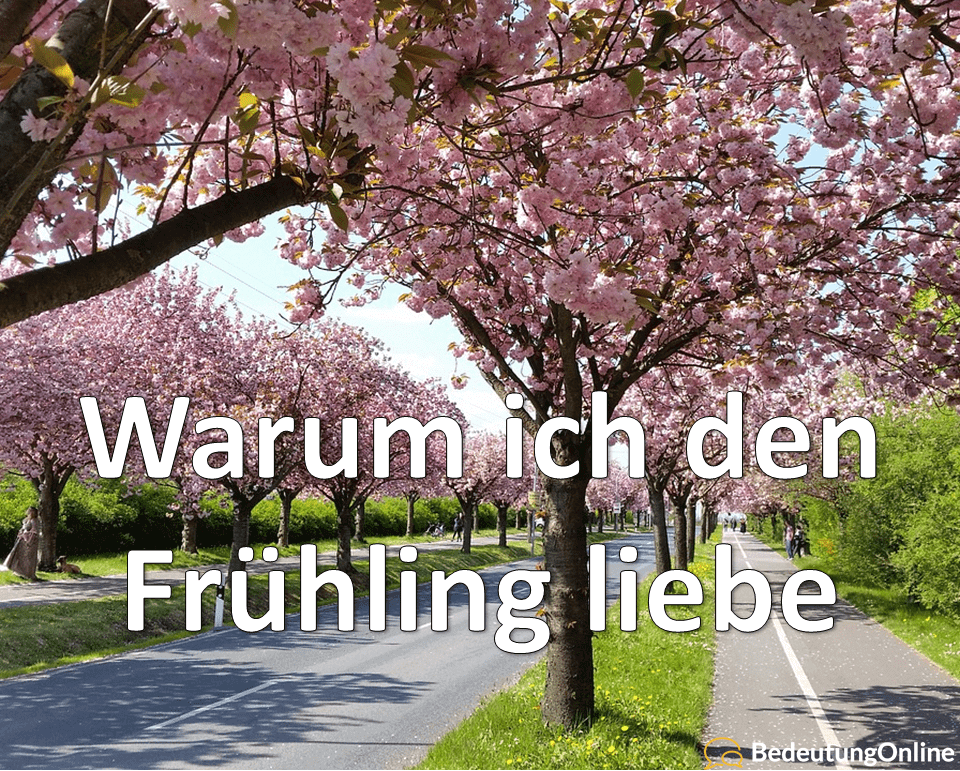 Frühlingsgefühle: 16 Gründe, warum ich den Frühling liebe