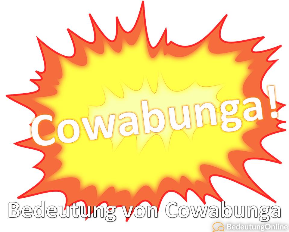 Was bedeutet „Cowabunga“ aus Teenage Mutant Ninja Turtles TMNT? Bedeutung, Wortherkunft, Übersetzung