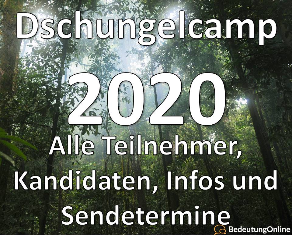 Dschungelcamp 2020, Ich bin ein Star, holt mich hier raus, IBES, alle teilnehmer, kandidaten, Infos, Sendetermine