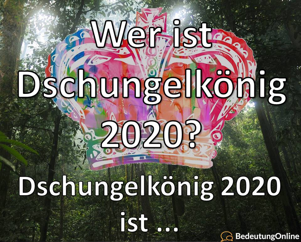 Dschungelkönig, Dschungelkönigin, Wer ist, Dschungelcamp 2020 Sieger, Gewinner ist, IBES