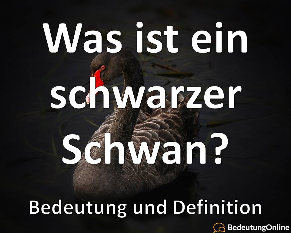 Schwarzer Schwan, was ist das, bedeutung, definition, herkunft