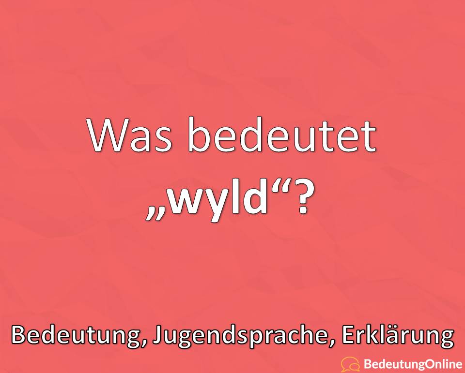 wyld, Jugendsprache, Was bedeutet zu wyld, Bedeutung, Jugendwort, Erklärung