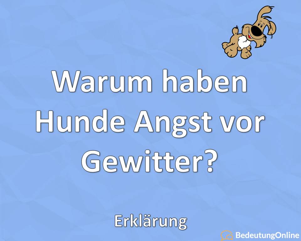 Warum haben Hunde Angst vor Gewitter, Erklärung