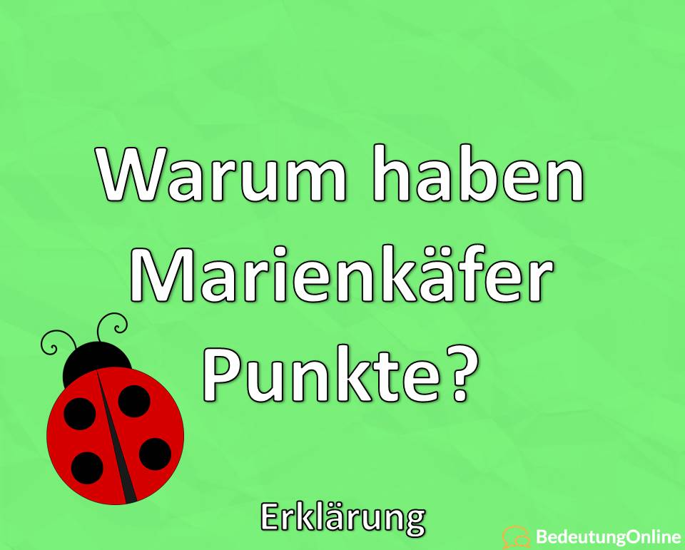 Warum haben Marienkäfer Punkte, Erklärung