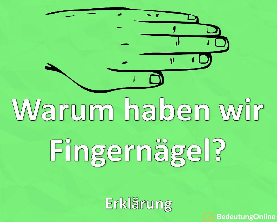 Warum haben wir Fingernägel, Erklärung