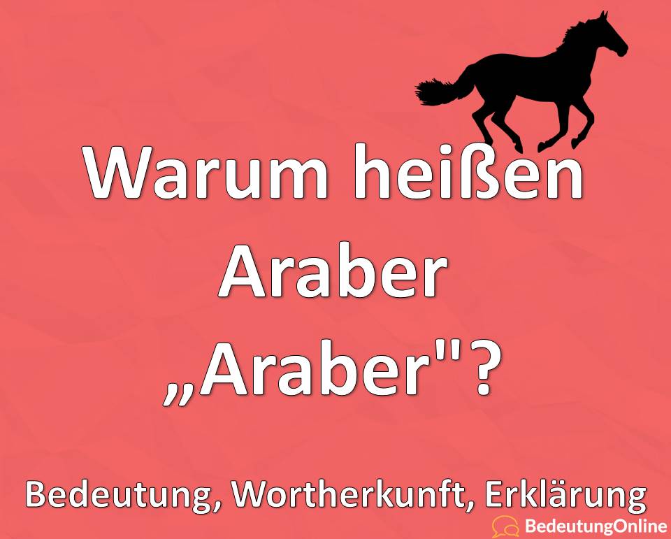 Warum heißen Araber (Pferd) „Araber“? Erklärung