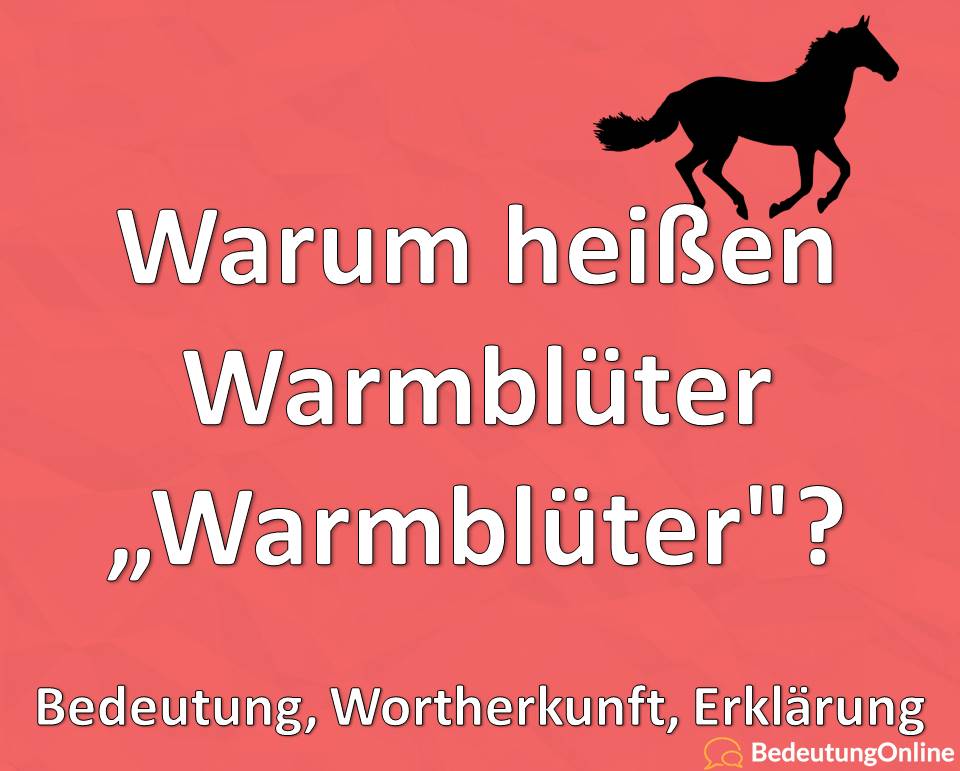 Warum heißen Warmblüter Warmblüter, Bedeutung, Wortherkunft, Erklärung