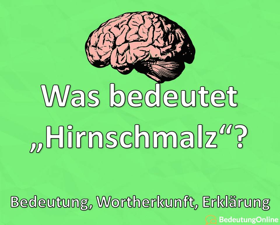 Was bedeutet Hirnschmalz, Bedeutung, Wortherkunft, Definition, Erklärung