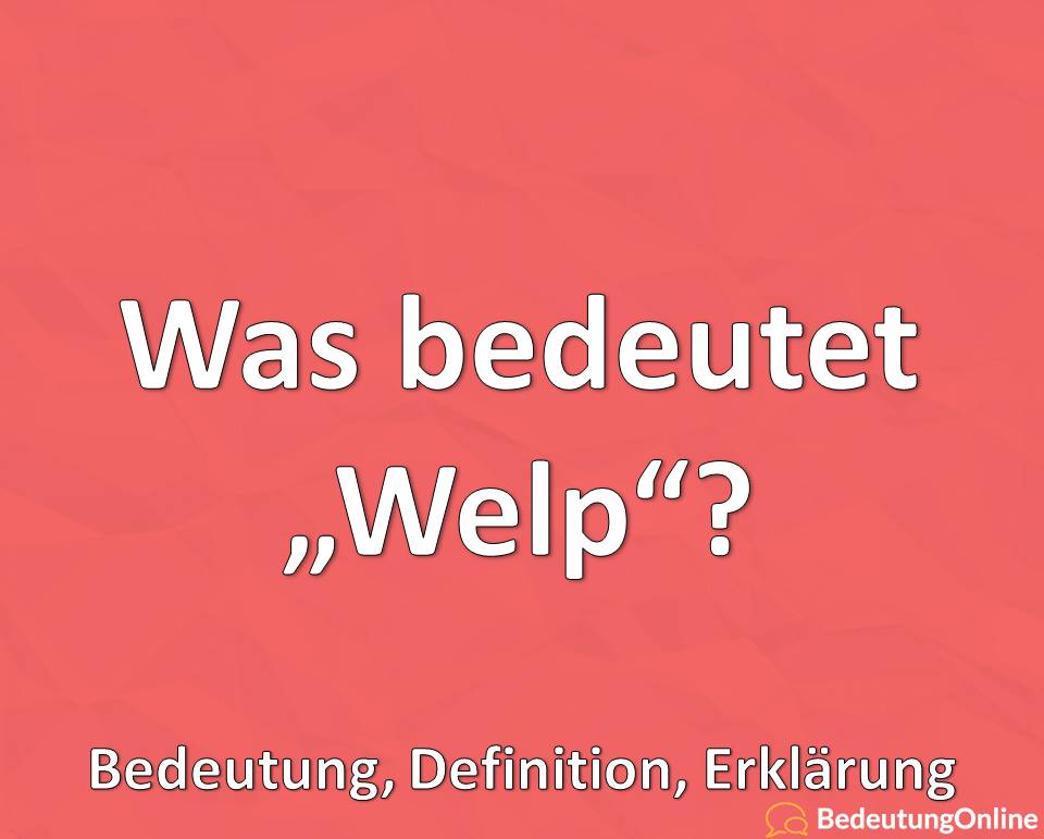 Was bedeutet Welp auf deutsch? Bedeutung, Definition, Erklärung