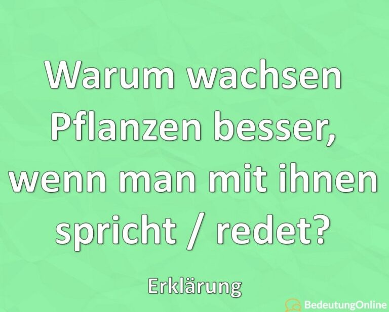 Warum wachsen Pflanzen besser, wenn man mit ihnen spricht / redet