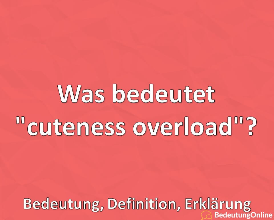 Was bedeutet „cuteness overload“? Bedeutung, Definition, Erklärung