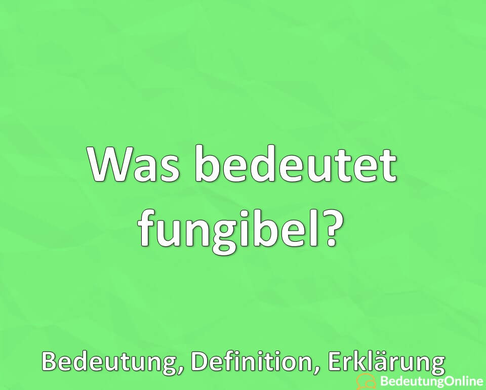 Was bedeutet fungibel? Was ist Fungibilität? Bedeutung, Definition, Erklärung