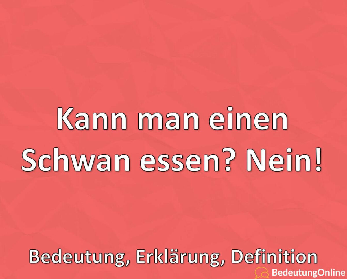 Kann man einen Schwan essen? Nein! Erklärung, Antwort, Gründe