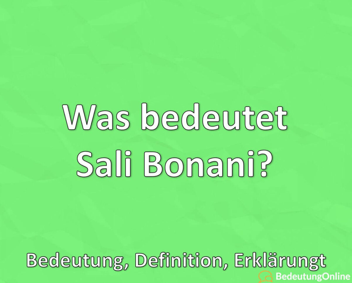 Was bedeutet Sali Bonani / Salibonani? Meme, Bedeutung, Definition, Erklärung