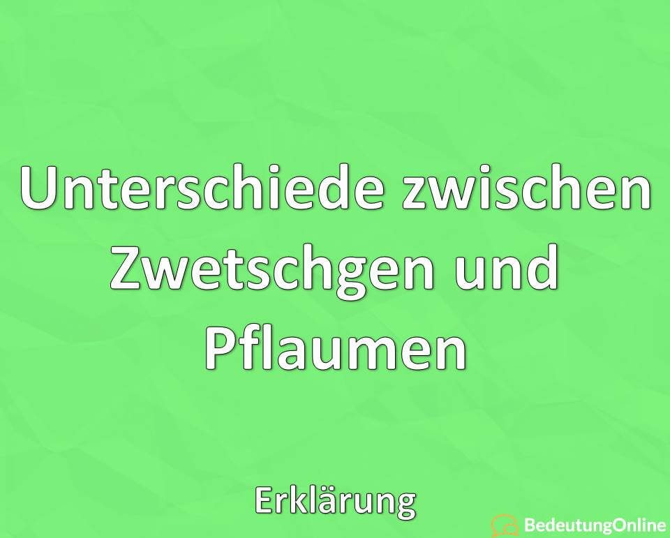 Unterschiede zwischen Zwetschgen und Pflaumen, Erklärung