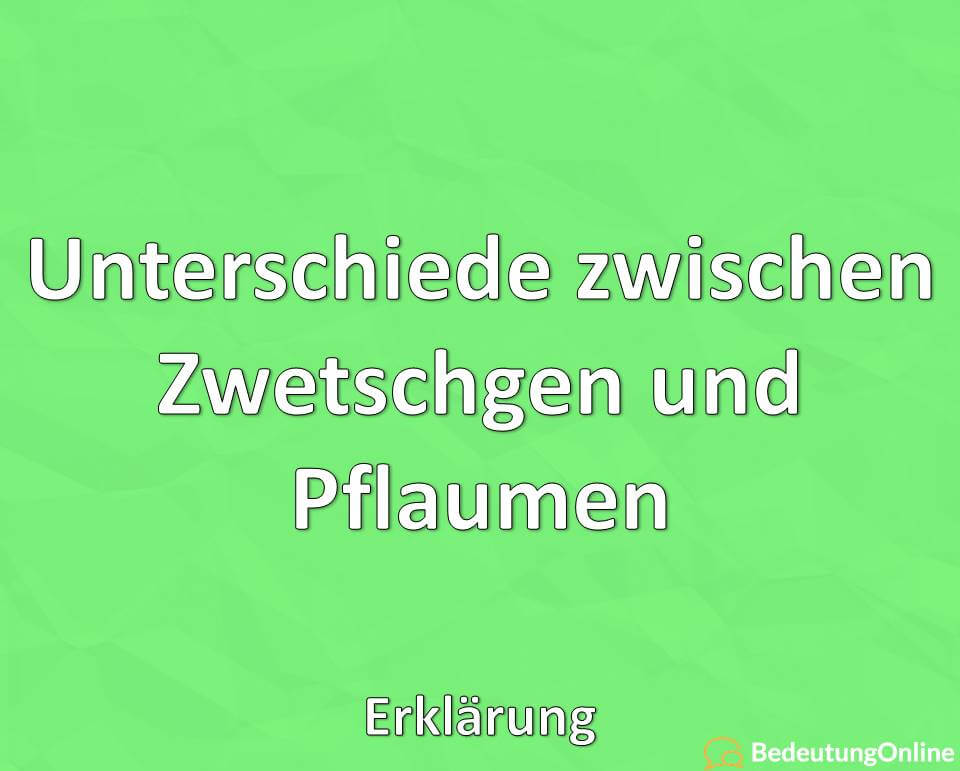 Unterschiede zwischen Zwetschgen und Pflaumen, Erklärung