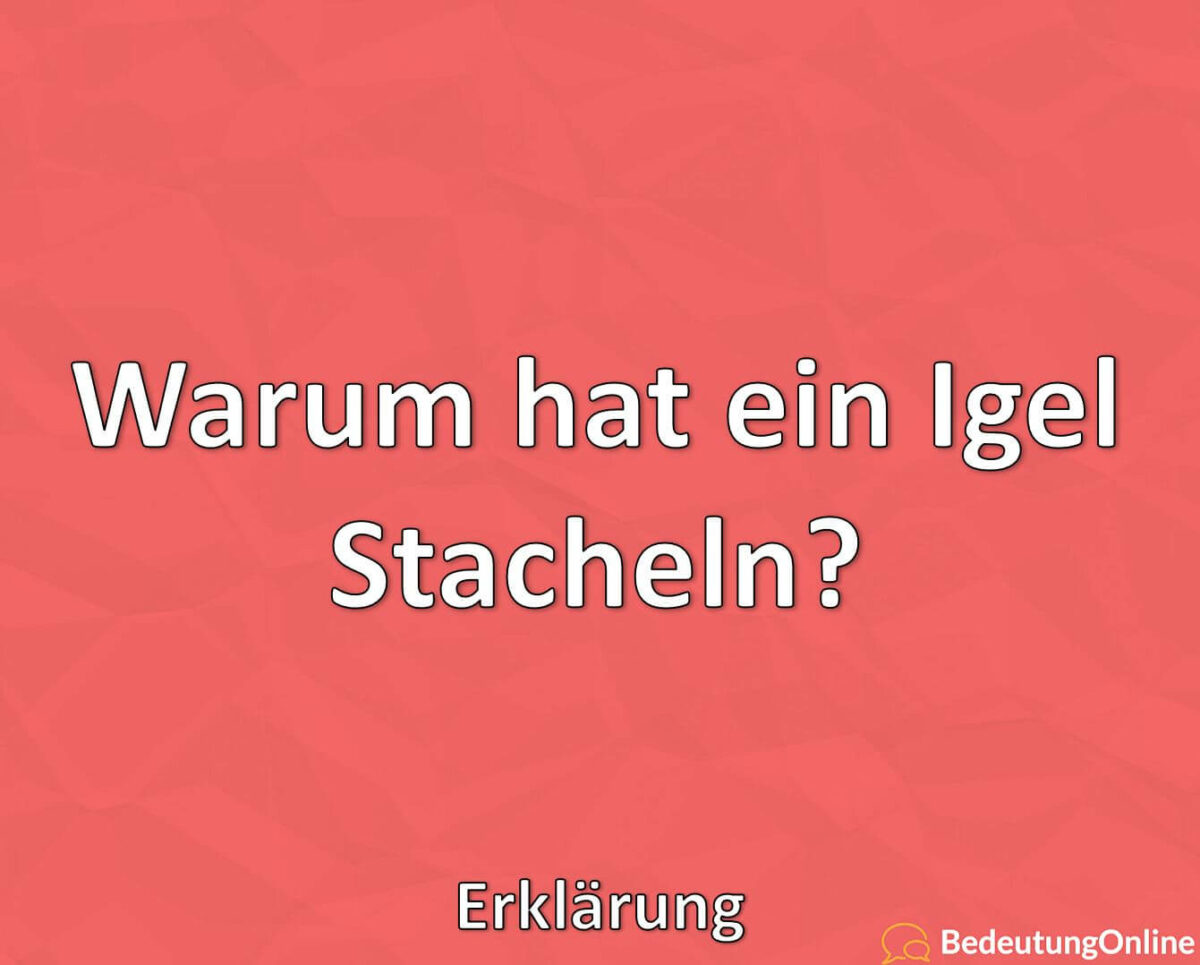 Warum hat ein Igel Stacheln, Erklärung