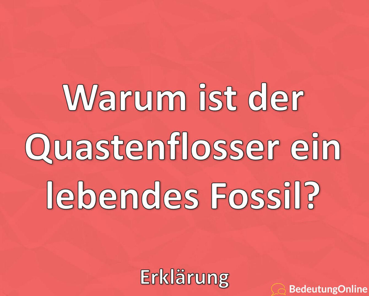 Warum ist der Quastenflosser ein lebendes Fossil? Erklärung