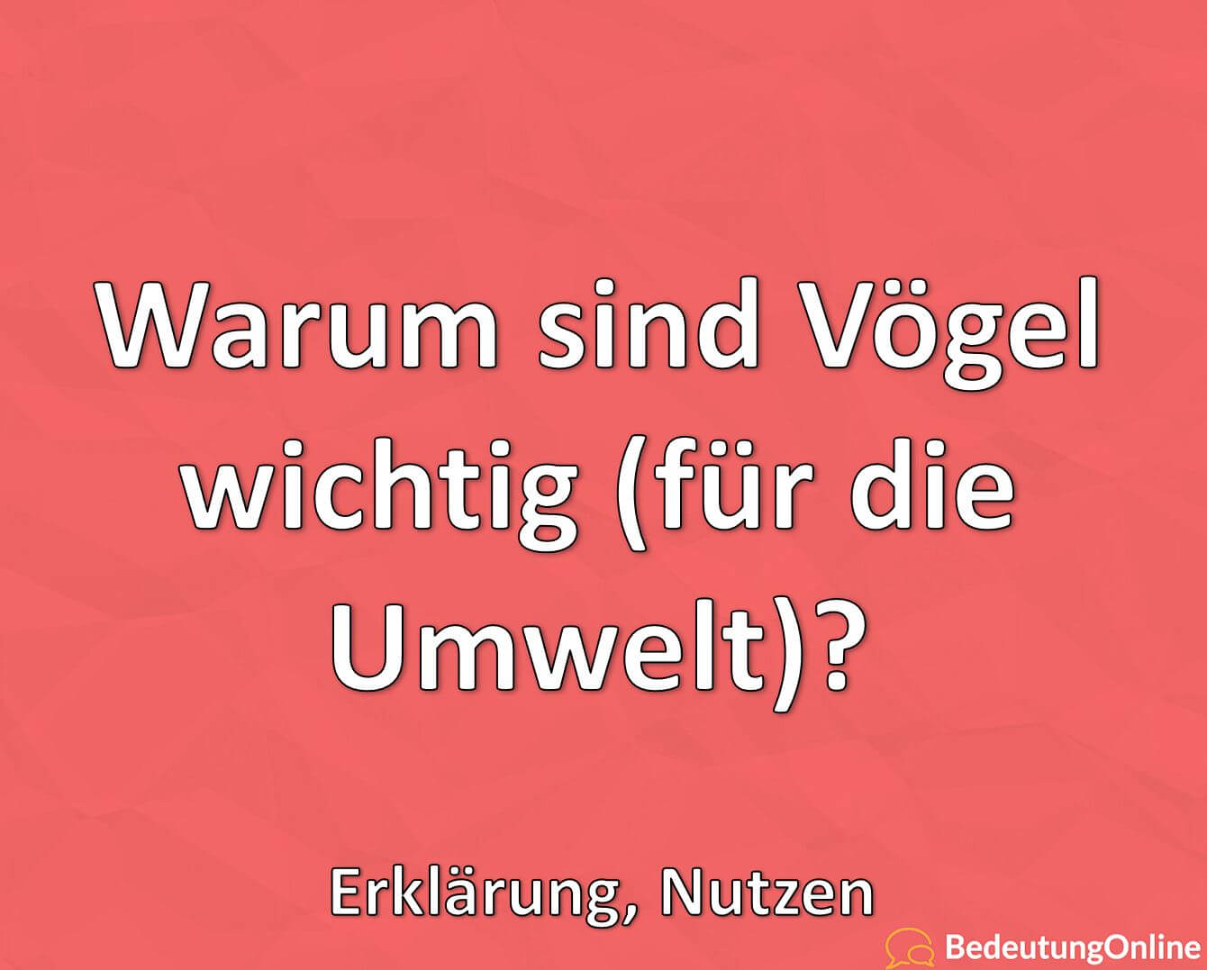 Warum sind Vögel wichtig (für die Umwelt)? Erklärung, Nutzen Bedeutung Online
