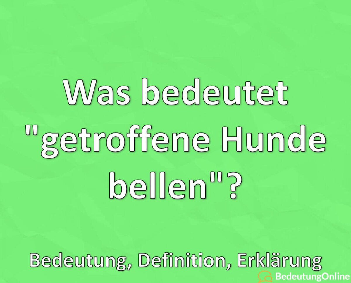 Was bedeutet „getroffene Hunde bellen“? Bedeutung, Definition, Erklärung