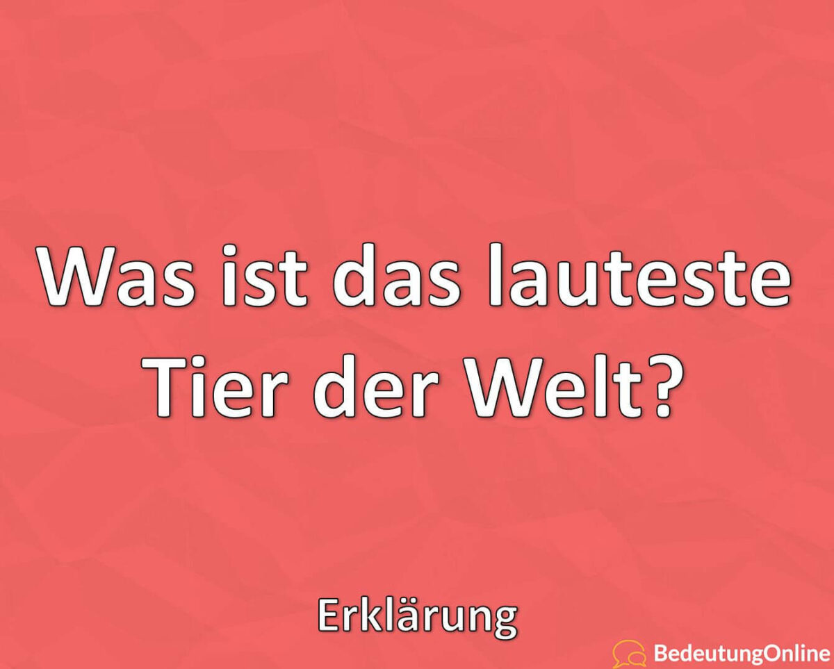 Was ist das lauteste Tier der Welt? Erklärung