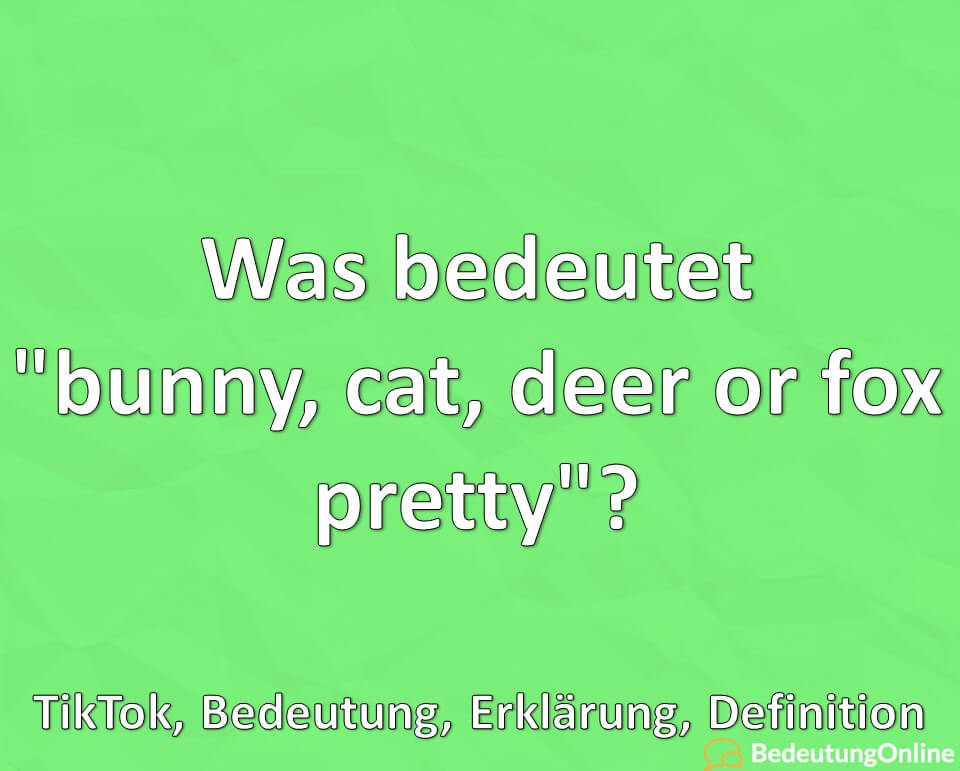 Was bedeutet, bunny, cat, deer or fox pretty, auf TikTok, Bedeutung, Erklärung, Definition