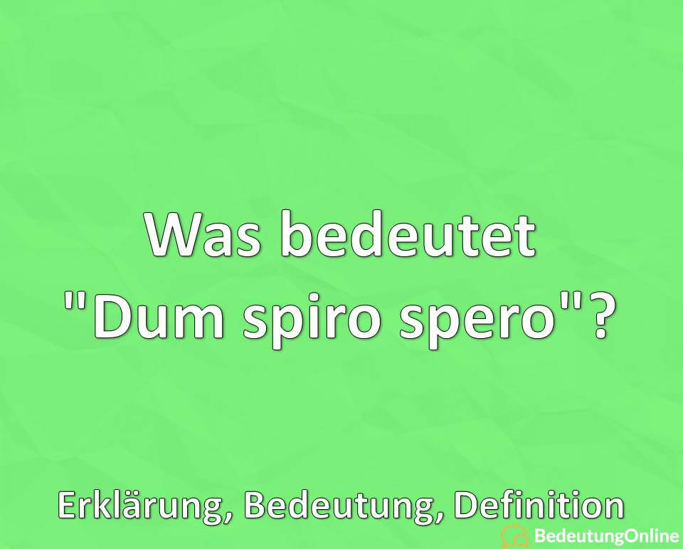 Was bedeutet „Dum spiro spero“? Erklärung, Bedeutung, Definition