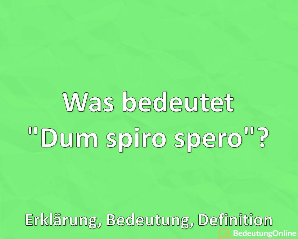 Was bedeutet Dum spiro spero, Erklärung, Bedeutung, Definition