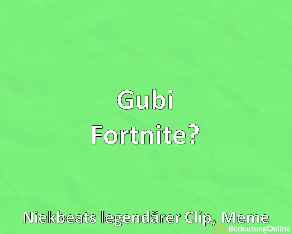 Gubi Fortnite, Niekbeats legendärer Clip, Meme erklärt