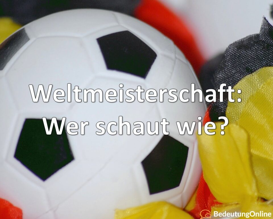 Weltmeisterschaft, Wer schaut wie